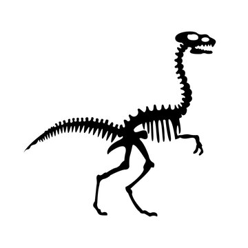 Vector Silhouette Of Dinosaurs Skeleton. Hand Drawn Dino Skeleton. Dinosaur Bones, Exhibit Fossils In The Museum