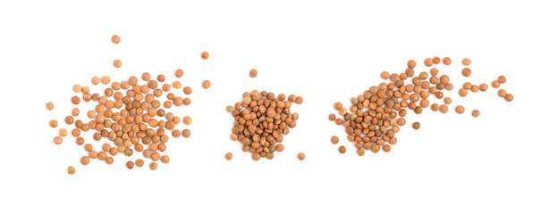 Dry brown lentils seeds or vegan protein source isolated - obrazy, fototapety, plakaty