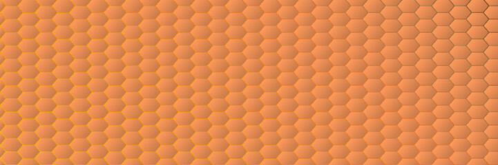 Skin cells - Hautzellen