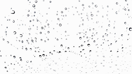 rain drop on the white color background.