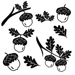 Set oak branches with leaves and acorns, black silhouettes on white background. Black white logo vector illustration.