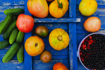 Cucumber tomato and berry, fresh vegetables on the background of a wooden blue retro texture.