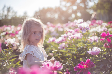 Little cute girl posing in peonies field.