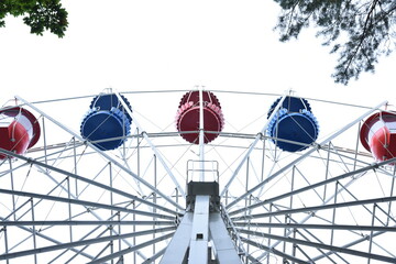 Red and blue ferris wheel cabins in park trees crownes. Metal construction of urban amusement park attraction