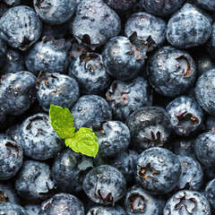 Fresh blueberries with green leaf.