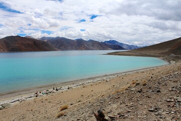 Fototapeta na wymiar Serene view of Pangong lake in Ladakh region of India