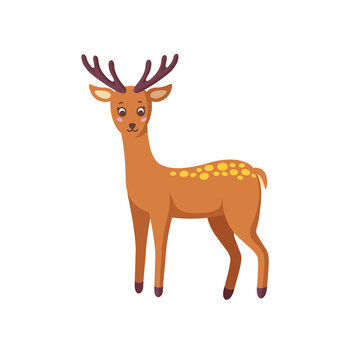 Standing reindeer isolated in white background. Woodland deer in nice cartoon style. Vector illustration