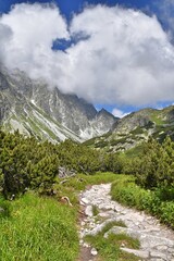 Dolina Mięguszowiecka Tatry Wysokie, Słowacja  Tatry Słowackie, szlak na Rysy, góry w Europie, Tatransky Narodny Park - obrazy, fototapety, plakaty