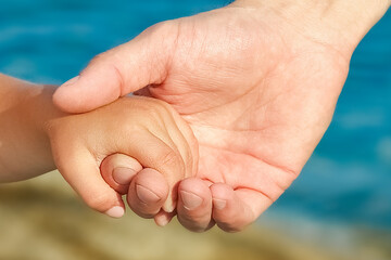 beautiful hands of parent and child by the sea