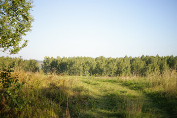 Obraz premium SONY DSC