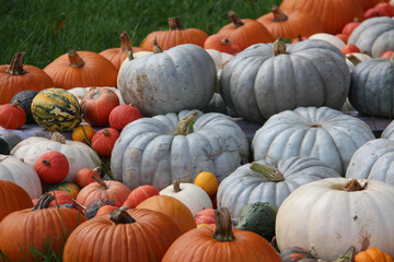 Closeup focus shot of a gourd pile