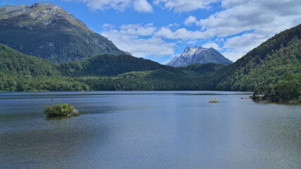 Rock in the clear water of Lake Sylvan, green thick forest and and snowy mountain peak in the background, South Island, New Zealand