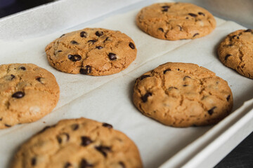 Delicious chocolate chip cookies on a fresh out of the oven tray