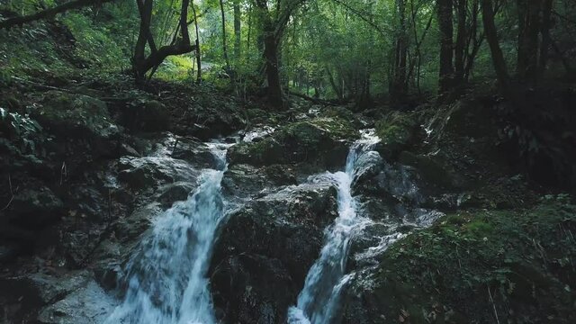 Small waterfall in a forest 