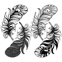 vector illustration, elegant feather in doodle style in black, logo symbol for design, print for coloring, print on t-shirt, cup, isolate on a white background