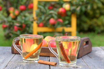 Apple cider in glass mugs on the background of autumn fruit orchard.