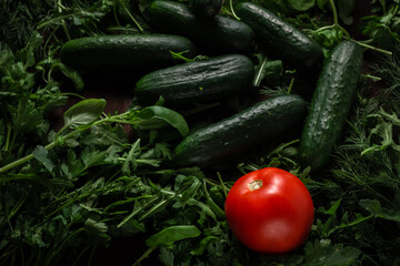 lettuce arugula dill with parsley cucumbers and tomatoes on a wooden table