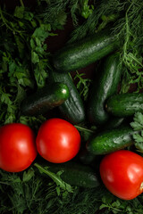 lettuce arugula dill with parsley cucumbers and tomatoes on a wooden table