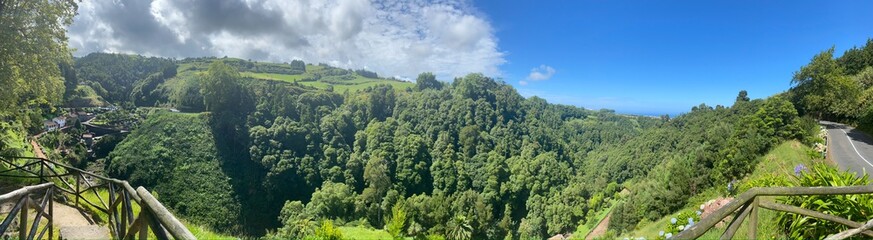 Fototapeta premium grass and sky