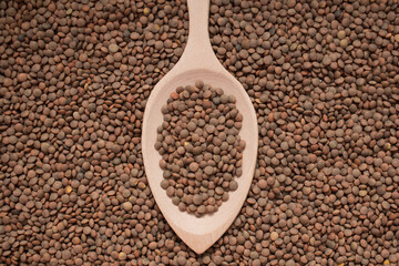 organic lentils legumes in wooden spoon