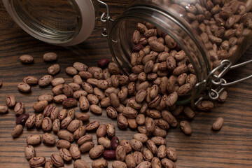 organic bean bean pint bean in pot