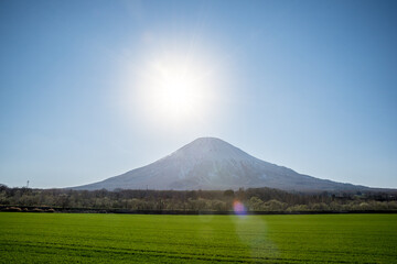 Obraz premium 初夏の羊蹄山と広大な畑のイメージ 北海道ニセコエリアの観光イメージ