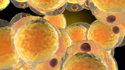 A cluster of Fat cells - 378063838