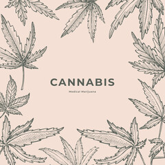 Botanical background with cannabis leaves vector illustration. Hand-drawn leaves of marijuana. Medicinal plant in retro style isolated on a light background.