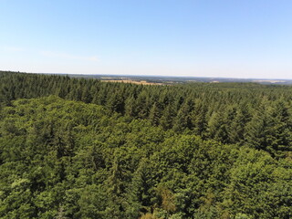 Forêt de sapin en Bourgogne, vue aérienne