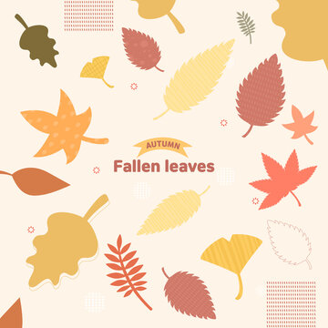 Soft autumn images: Autumn,illustration,Leaves