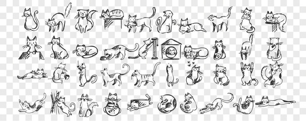Fototapeta na wymiar Cats doodle set. Collection of hand drawn pencil sketches templates patterns of adorable pets kitten kitty sleeping stretching playing with ball hiding in box or basket. Illustration dmestic animals.