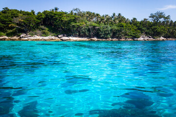 Obraz premium sea is clear until you see the underwater coral reefs of Racha Island, Phuket.