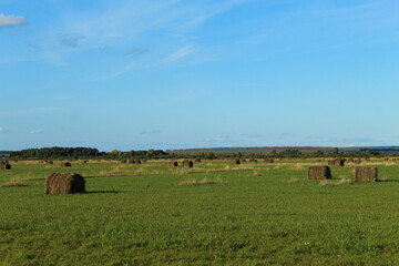 Field in Bashkiria with hay billets