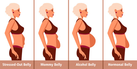 Types of Tummies for women. Post-pregnancy, menopausal hormonal belly, beer belly, bloating belly and overweight.