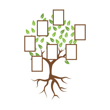 Family tree illustration template design vector