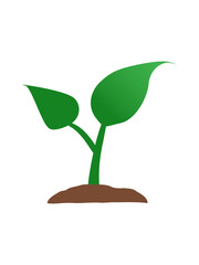 plant growing illustration on white background