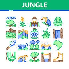 Jungle Tropical Forest Collection Icons Set Vector. Jungle Tree And Animal, Waterfall And Wood, Flower And Bush, Boot And Car Concept Linear Pictograms. Color Illustrations