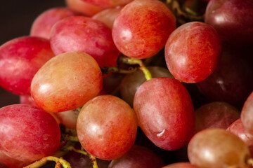 berries of red grapes close-up