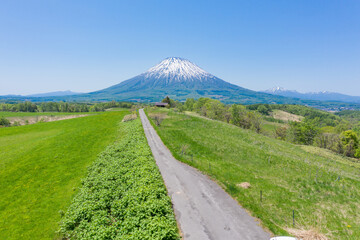 Fototapeta premium ドローン空撮 ・望洋の丘から望むニセコの広大な大地と羊蹄山 / 北海道 ニセコエリア