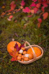Basket full of autumn leaves with pumpkin and mushrooms