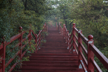 A path of red wood in the woods