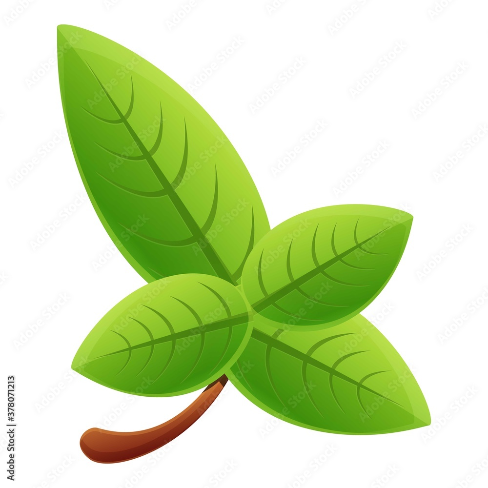 Poster basil aromatic icon. cartoon of basil aromatic vector icon for web design isolated on white backgrou
