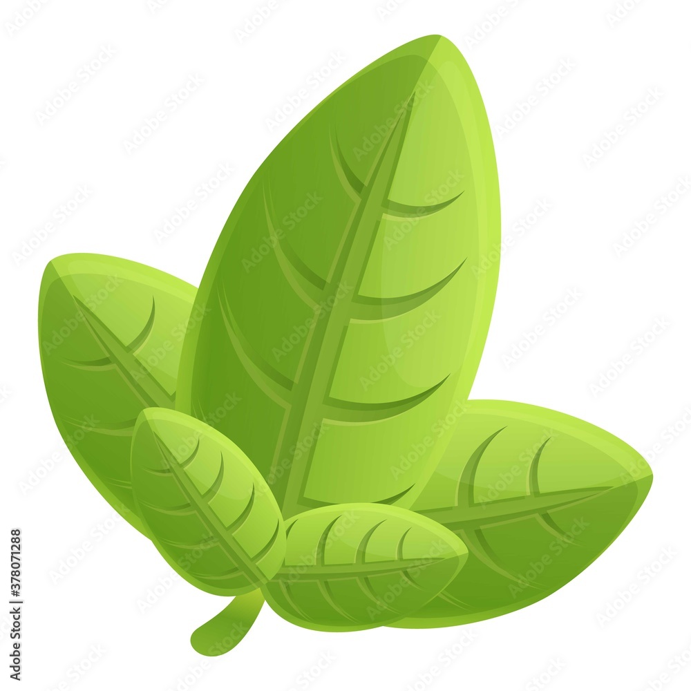 Poster basil dieting icon. cartoon of basil dieting vector icon for web design isolated on white background