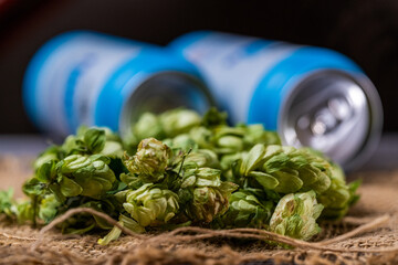 beer can and green cones of hops on wooden background.