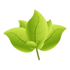 Basil cooking icon. Cartoon of basil cooking vector icon for web design isolated on white background