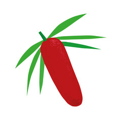 red fruit, from Papua Indonesia, vector illustration 