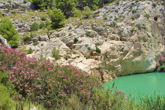 Fuente Caputa, Mula, Murcia