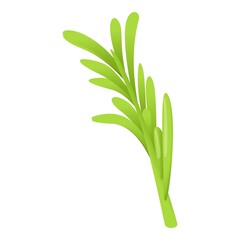 Rosemary leaf icon. Cartoon of rosemary leaf vector icon for web design isolated on white background