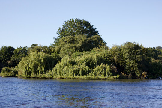 Beautiful image of lake with trees and foliage above and blue sky