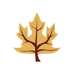 autumn leaf flat style icon